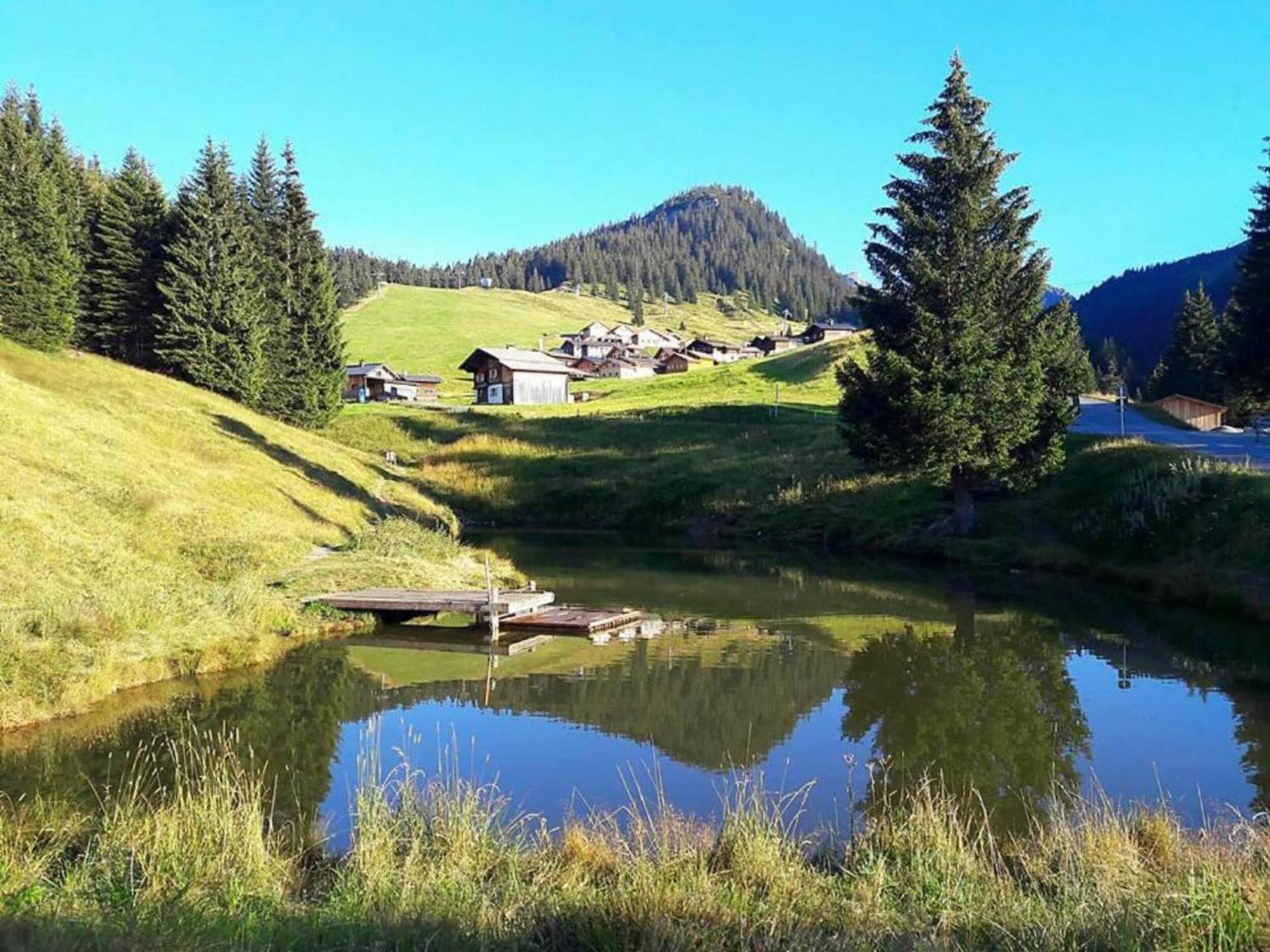 Apartment In Montafon Near The Ski Area 圣加伦基希 外观 照片